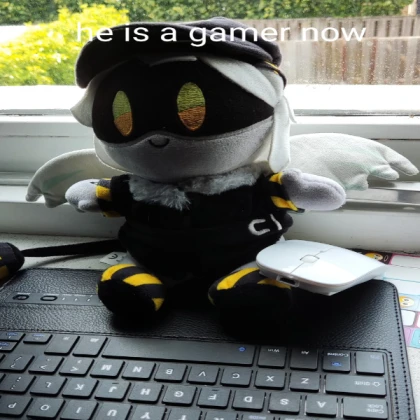 cody plush but the chat is spamming