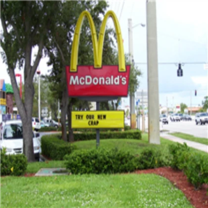 Mcdonalds with Parking but for birds