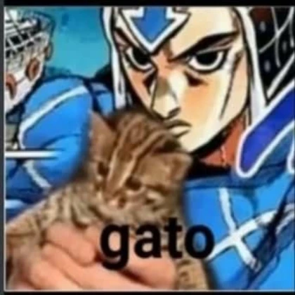 Gatabirdo birdino