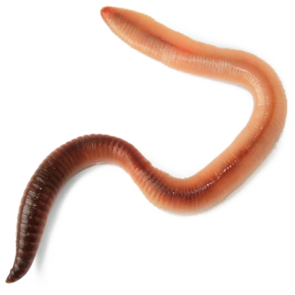 Cyan Worms