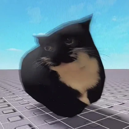 Maxwell the Cat Pack!