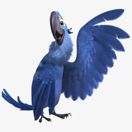 rio blu