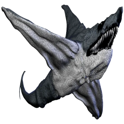 Aircraft Shark Ragdoll
