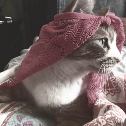 maroon conecat and squid hat
