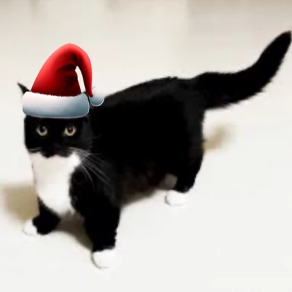 walking christmas cat