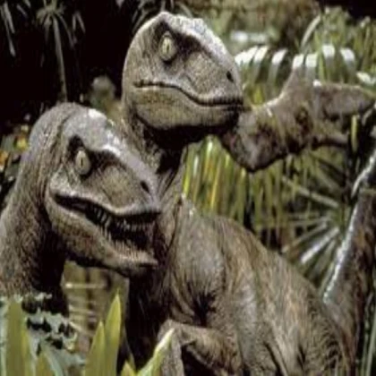 Two Raptors