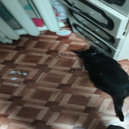 water in the floor 