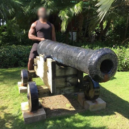 Anti-bird cannon