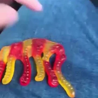 Red And Yellow Pet Worm