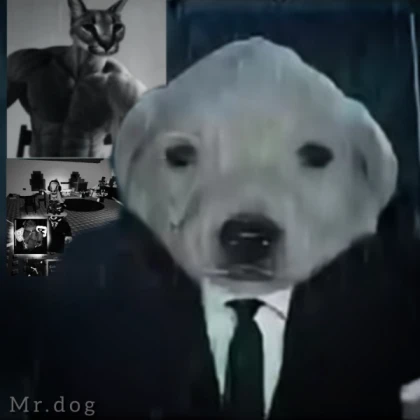 The Npc Dog