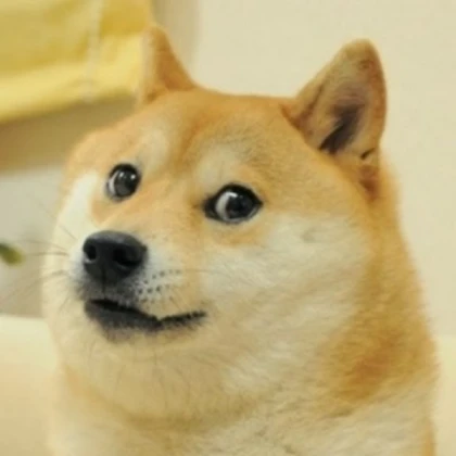 house dog