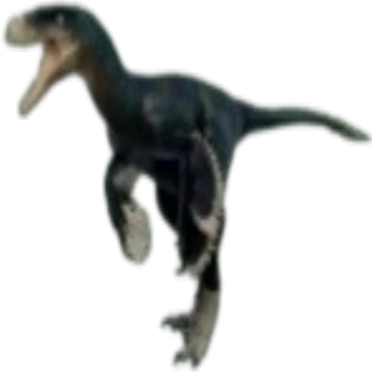 Raptor