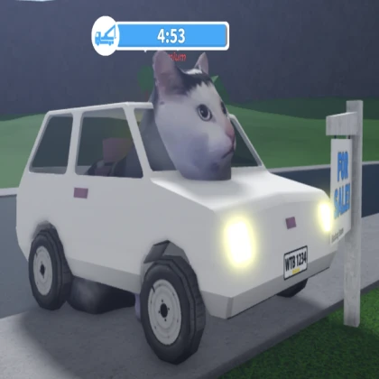 Pop cat car