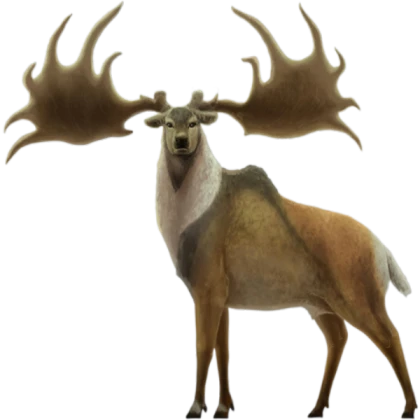 megaloceros npc