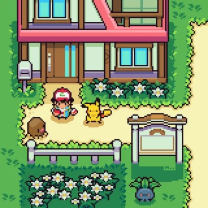 Pokemon House