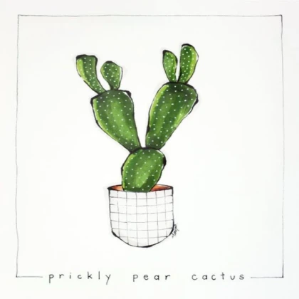 Prickly Pears