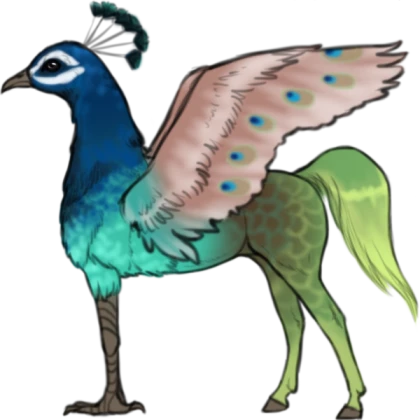Peacock