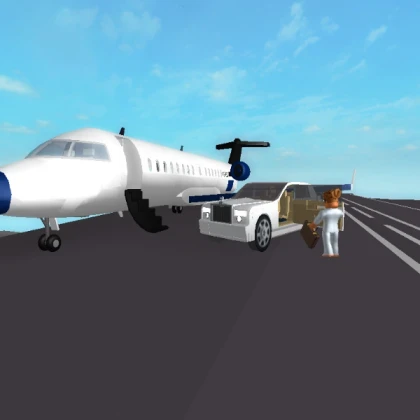 WORKING VIP PLANE 