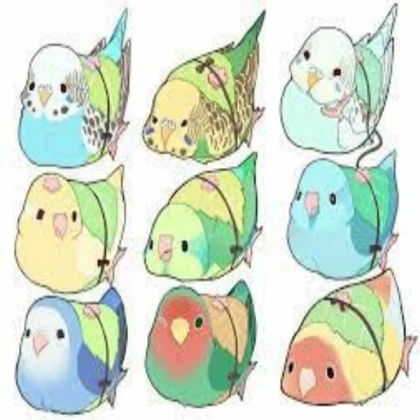 Bird Random Decals