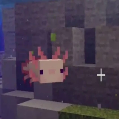The big Axolotl from minecraft!