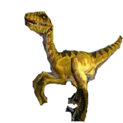 The Yellow Raptor
