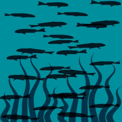 SIXTEEN SWIMMING FISH