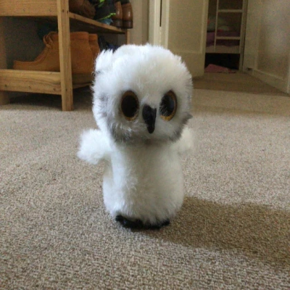 owl toy