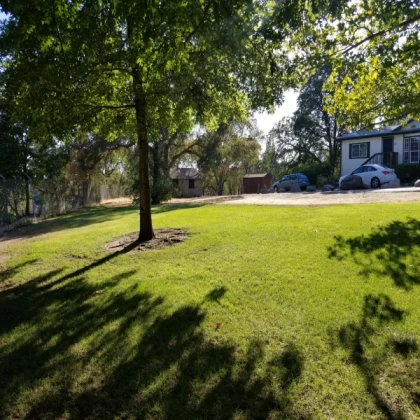 Grass Area!