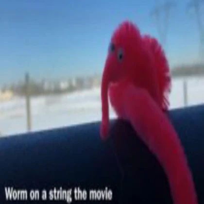 Large Red Worm