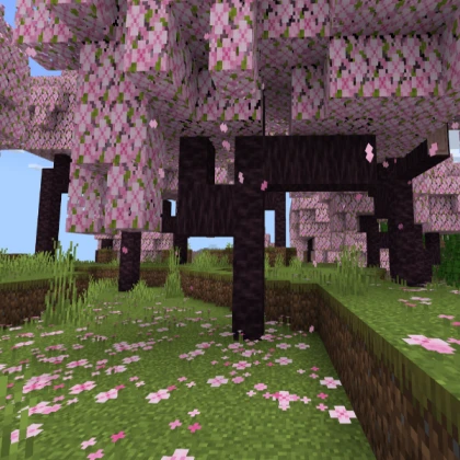 Beautiful Sakura Tree!